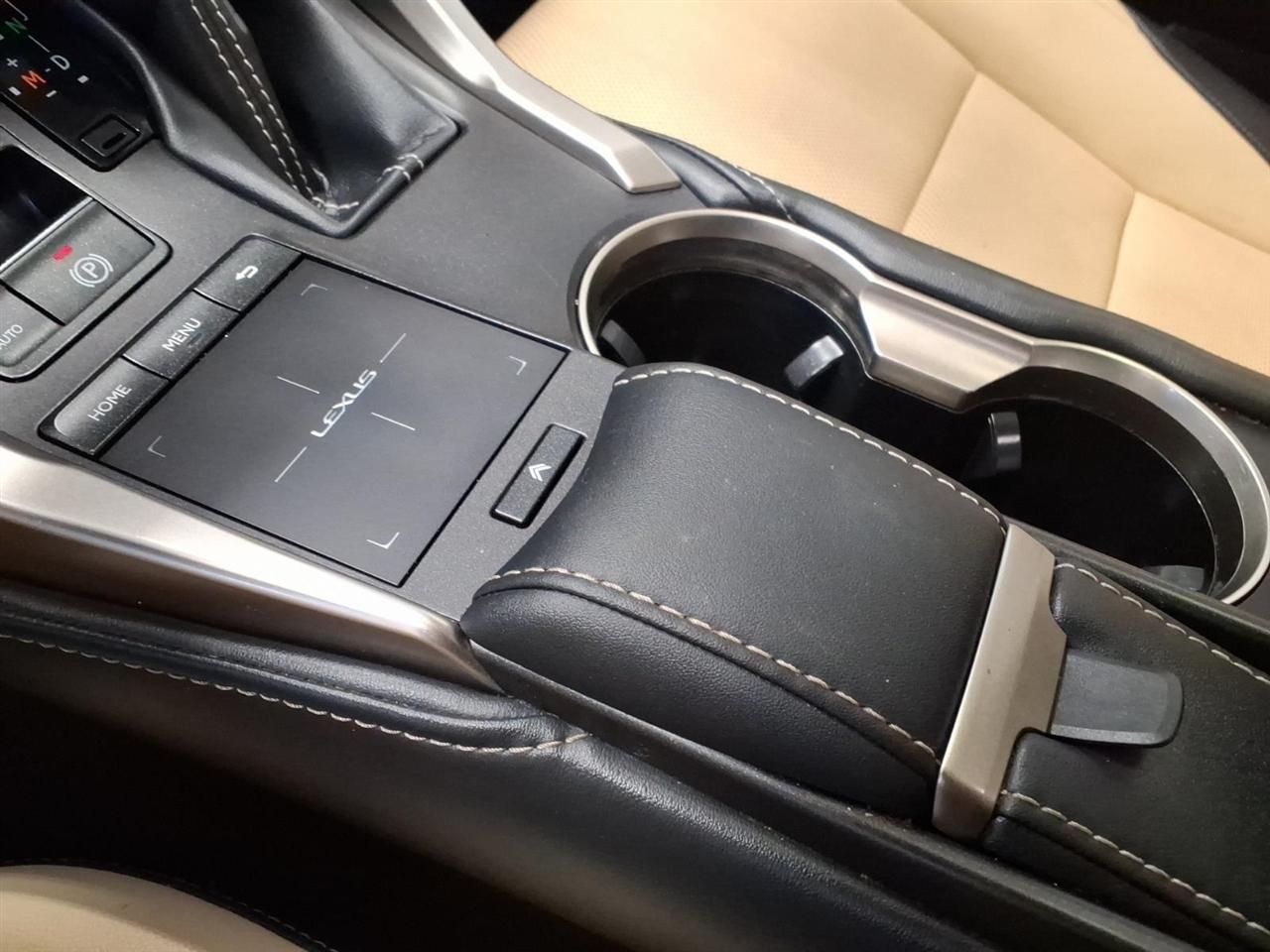 Lexus NX NX 300 AWD 2020