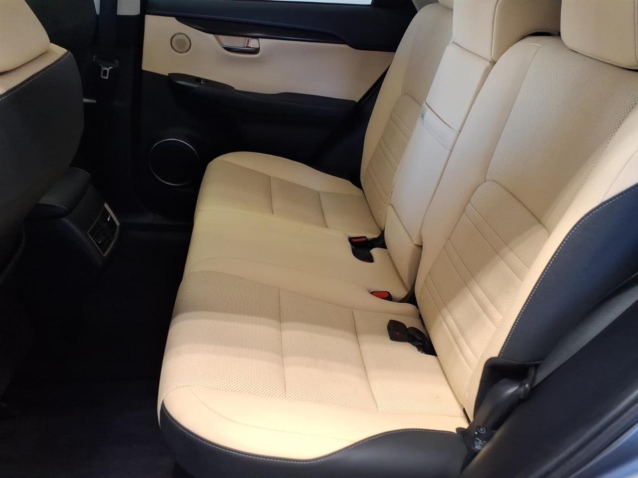 Lexus NX NX 300 AWD 2020