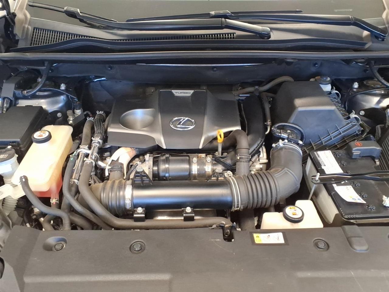 Lexus NX NX 300 AWD 2020