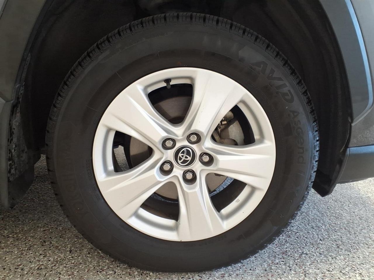 Toyota RAV4 XLE AWD (Natl) 2020