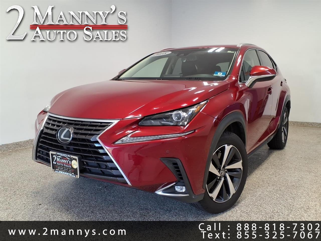 2018 Lexus NX NX 300 AWD w/Premium Package