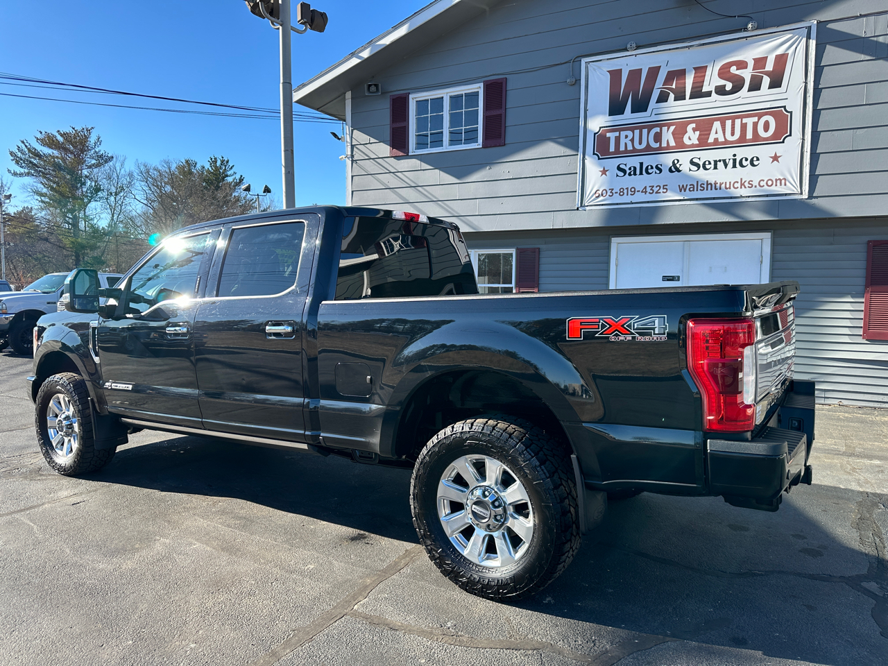 Ford F-250 SD Platinum Crew Cab 4WD 2019