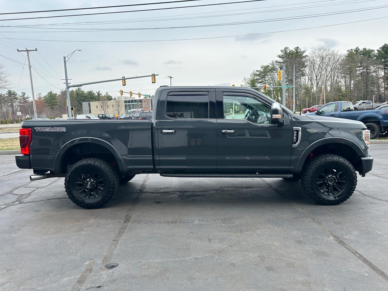 Ford F-250 SD Platinum Crew Cab 4WD 2021
