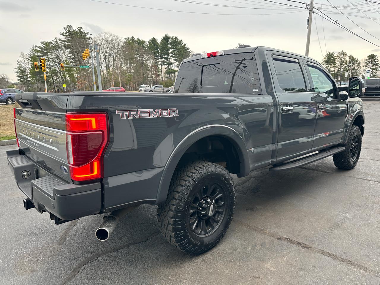 Ford F-250 SD Platinum Crew Cab 4WD 2021