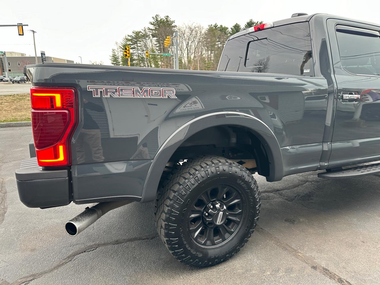 Ford F-250 SD Platinum Crew Cab 4WD 2021