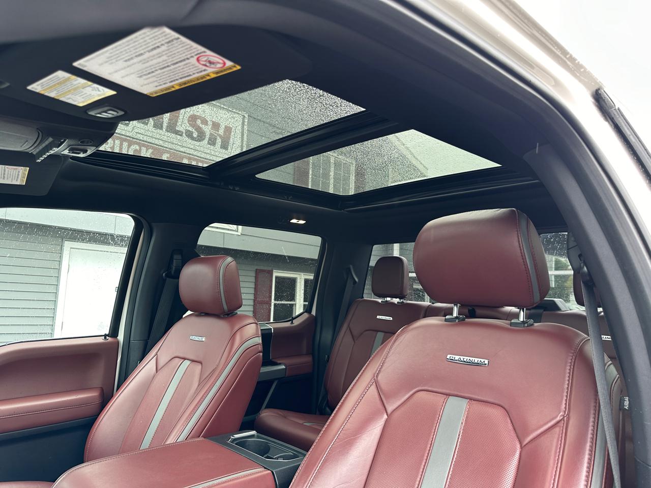 Ford F-250 SD Platinum Crew Cab 4WD 2019