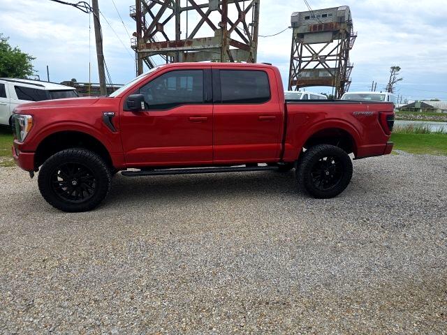 2023 Ford F-150 XLT photo 4
