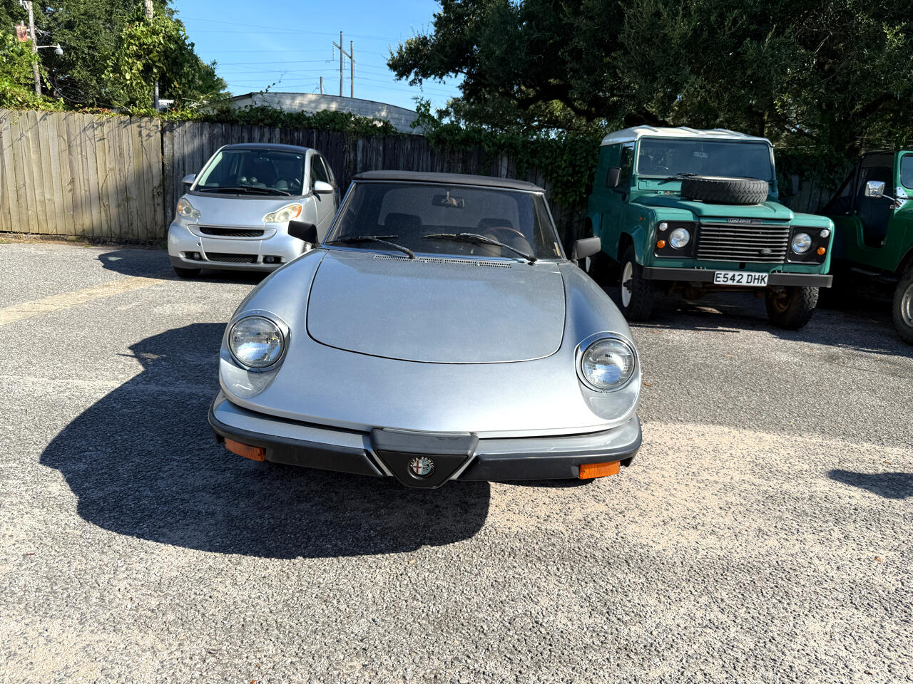 1981 Alfa Romeo Spider VELOCE photo 2