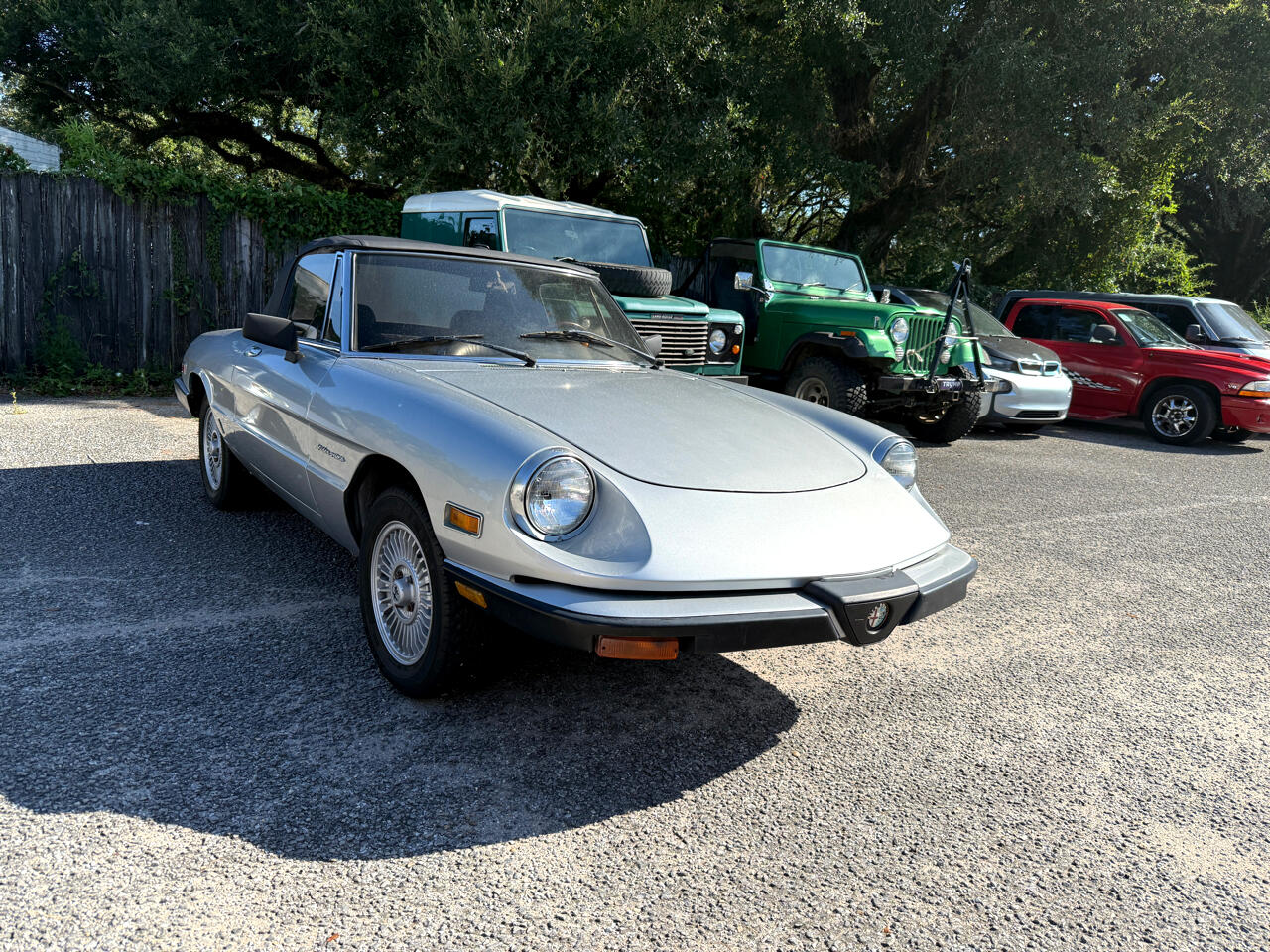 1981 Alfa Romeo Spider VELOCE photo 3