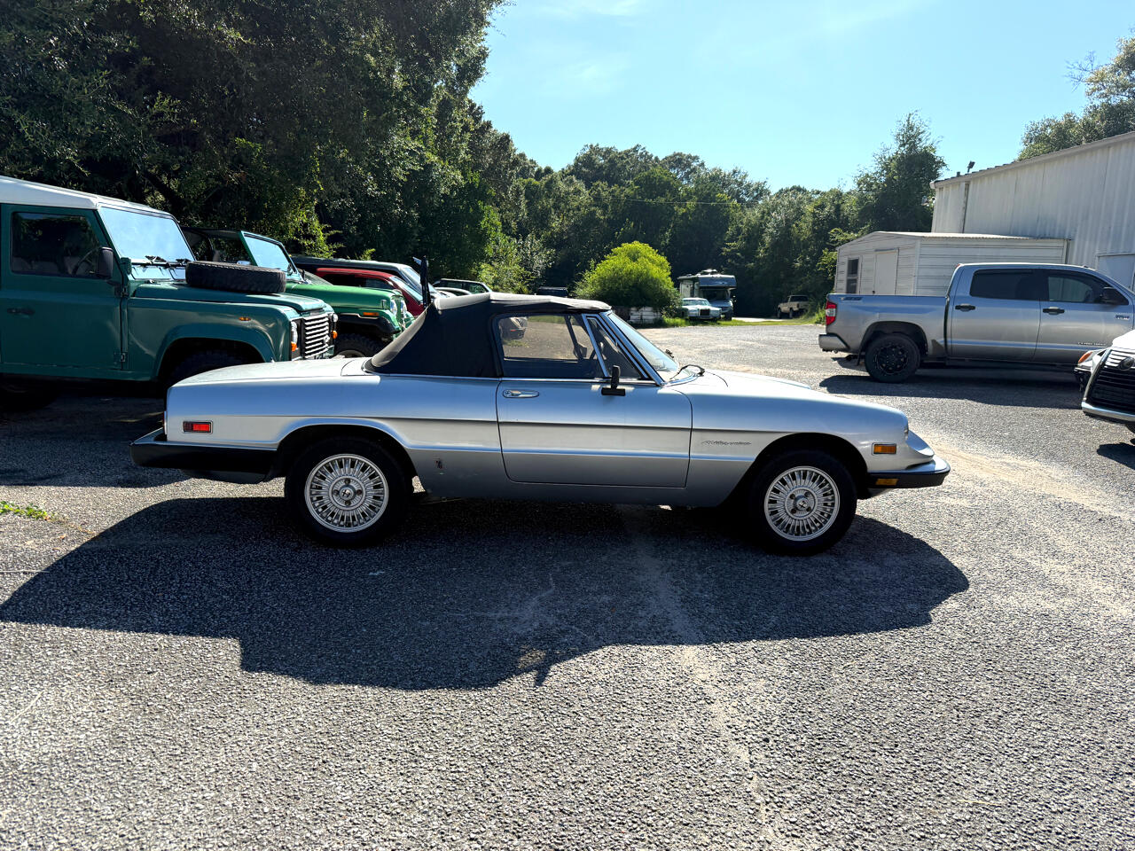1981 Alfa Romeo Spider VELOCE photo 4