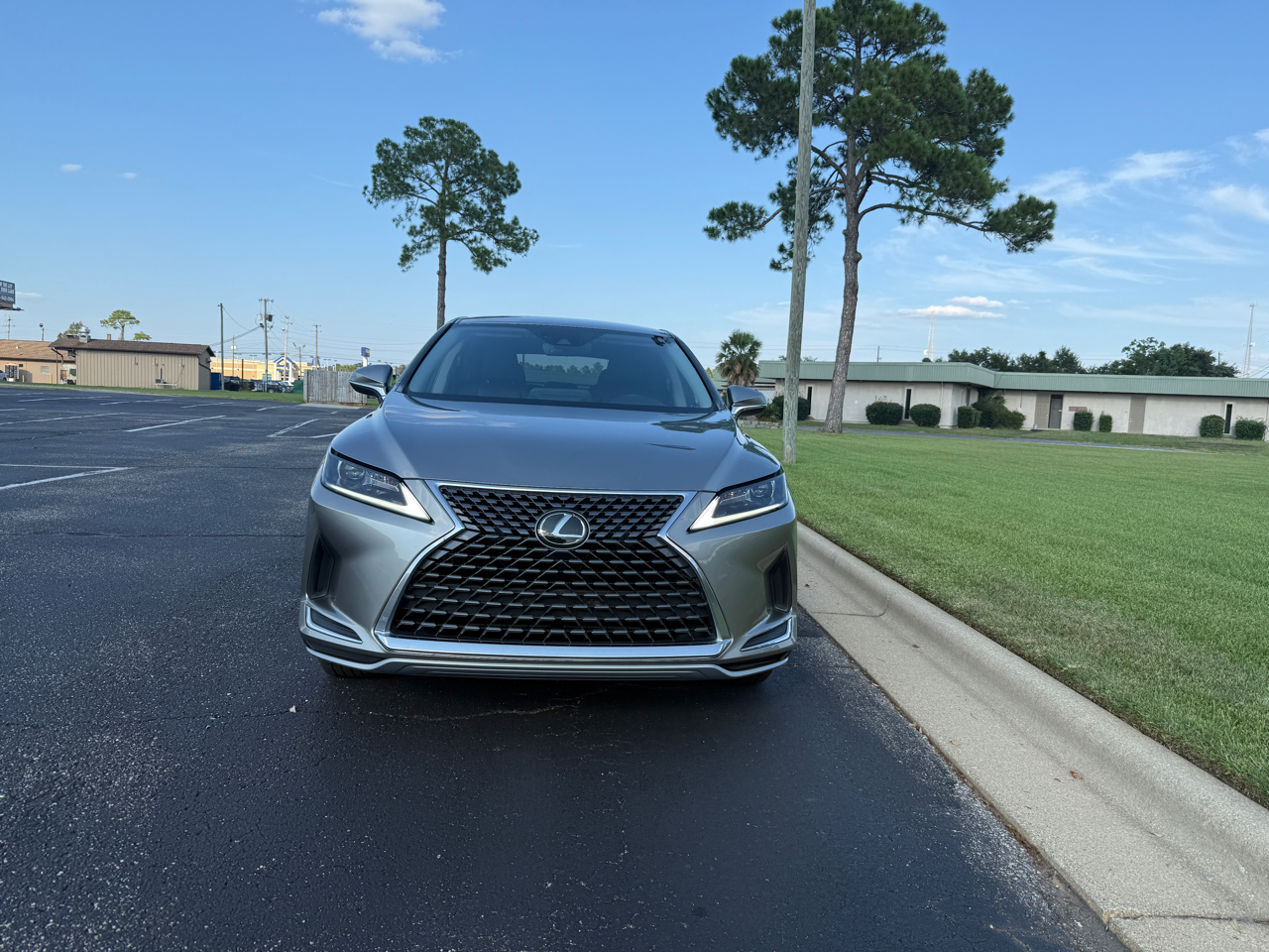 2021 Lexus RX 350 photo 2