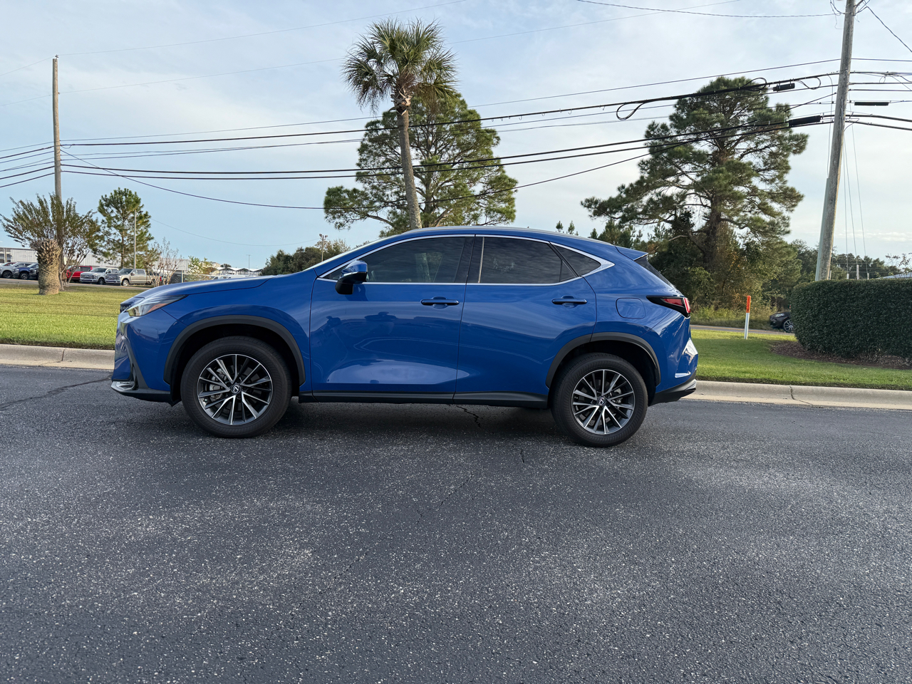 Lexus NX 250 Premium 2023