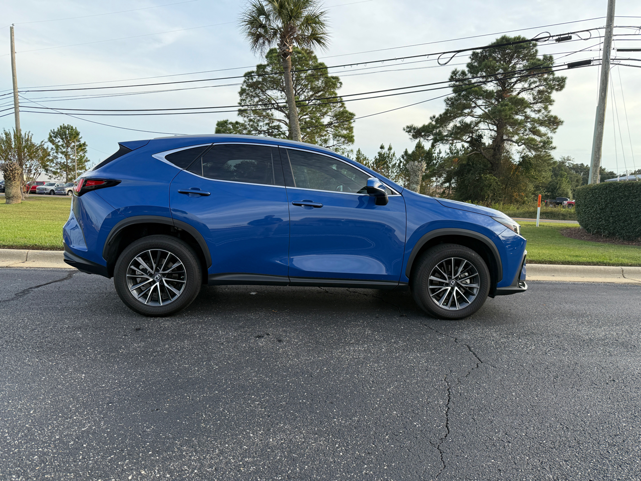Lexus NX 250 Premium 2023