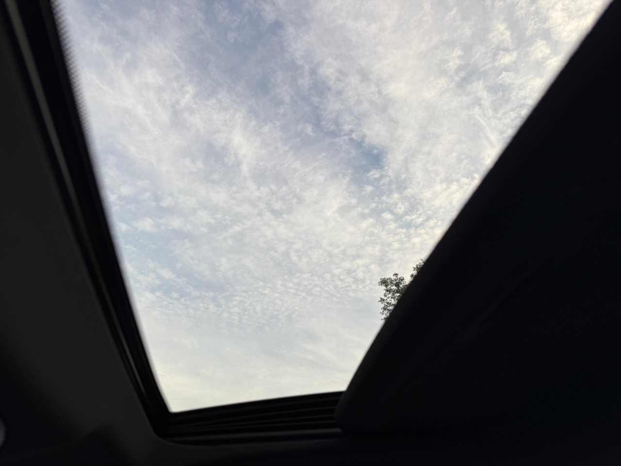 Lexus NX 250 Premium 2023