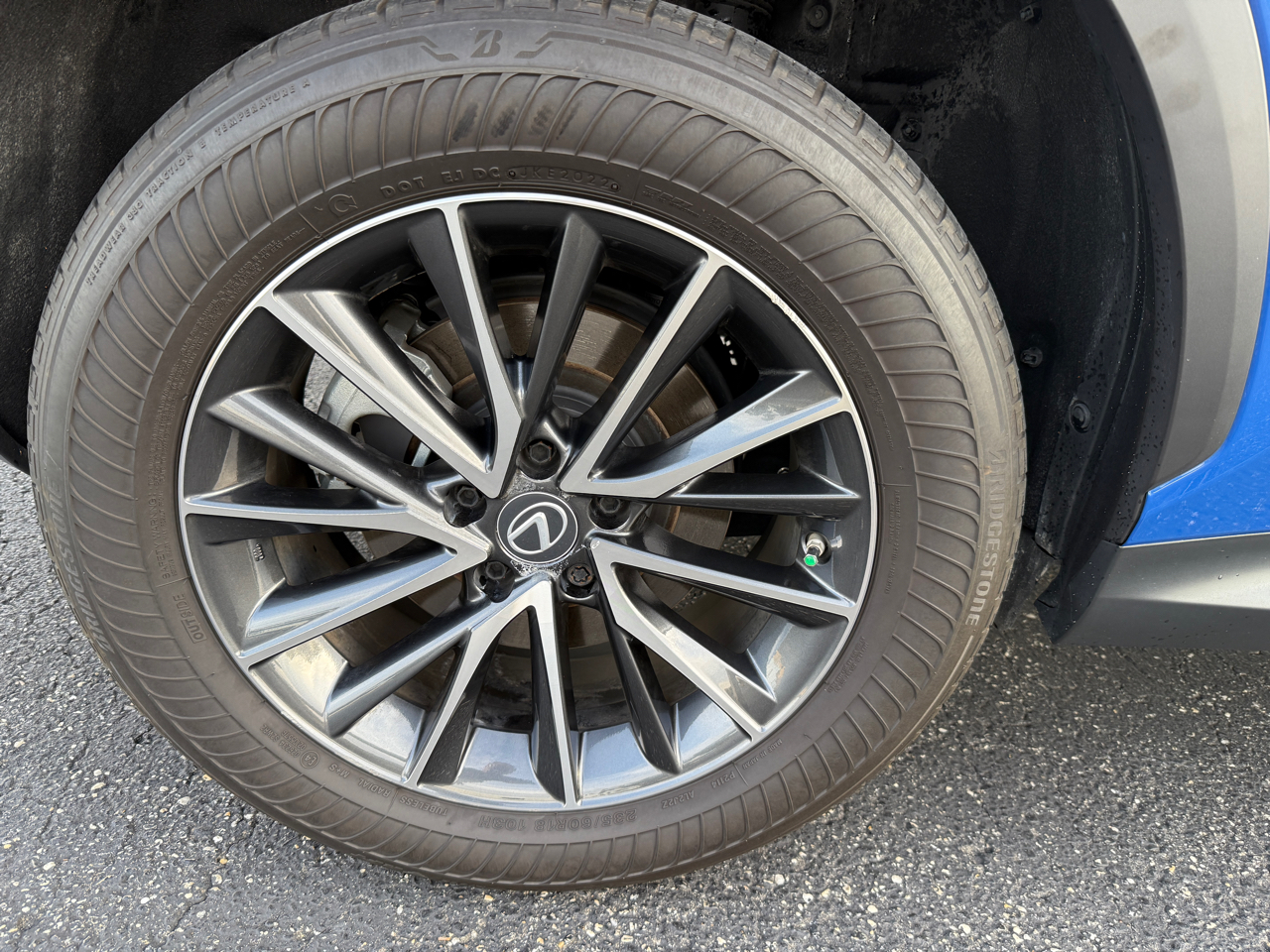 Lexus NX 250 Premium 2023