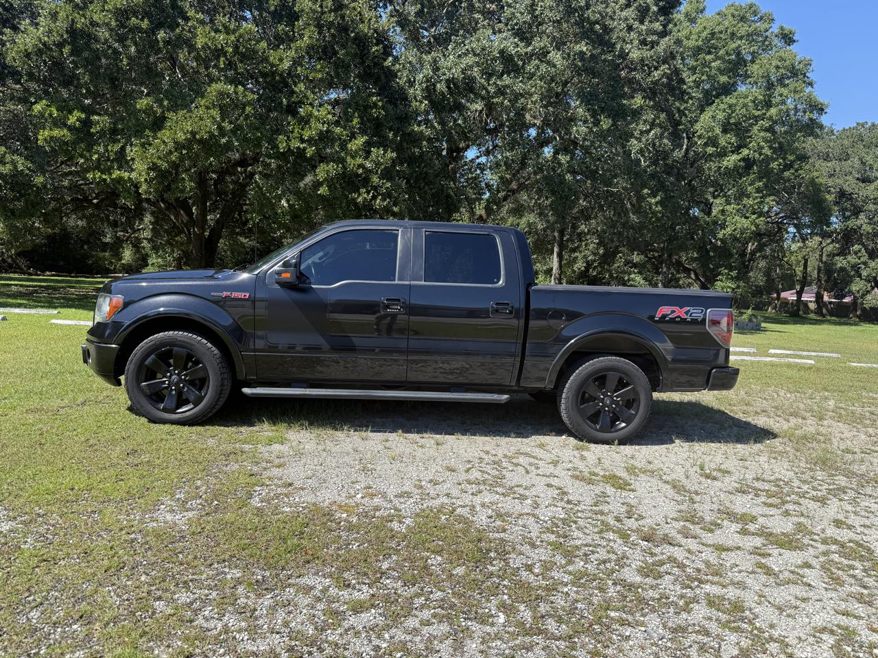 Ford F-150 FX2 SuperCrew 5.5-ft. Bed 2WD 2012