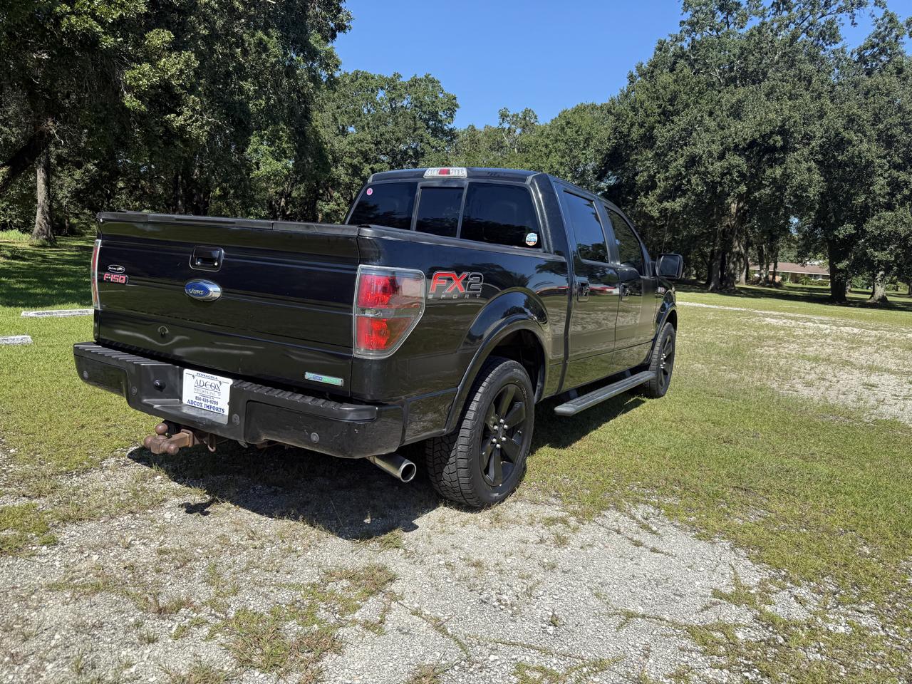 Ford F-150 FX2 SuperCrew 5.5-ft. Bed 2WD 2012