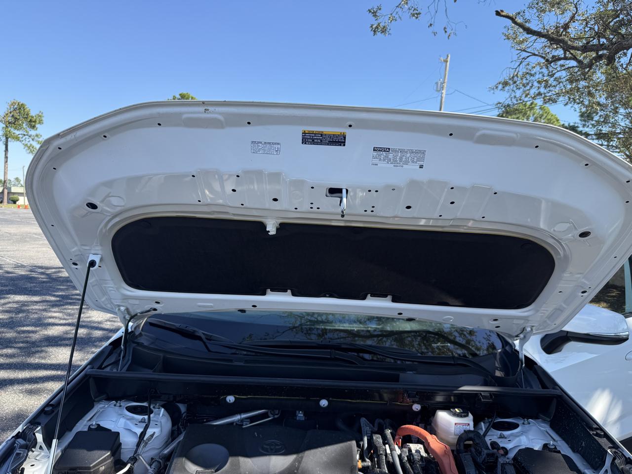 Toyota RAV4 Hybrid LE 2025