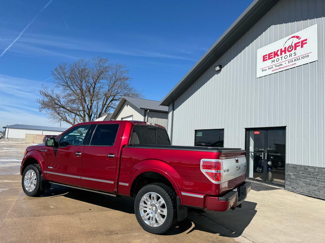 Ford F-150 4WD SuperCrew 145" Platinum 2013