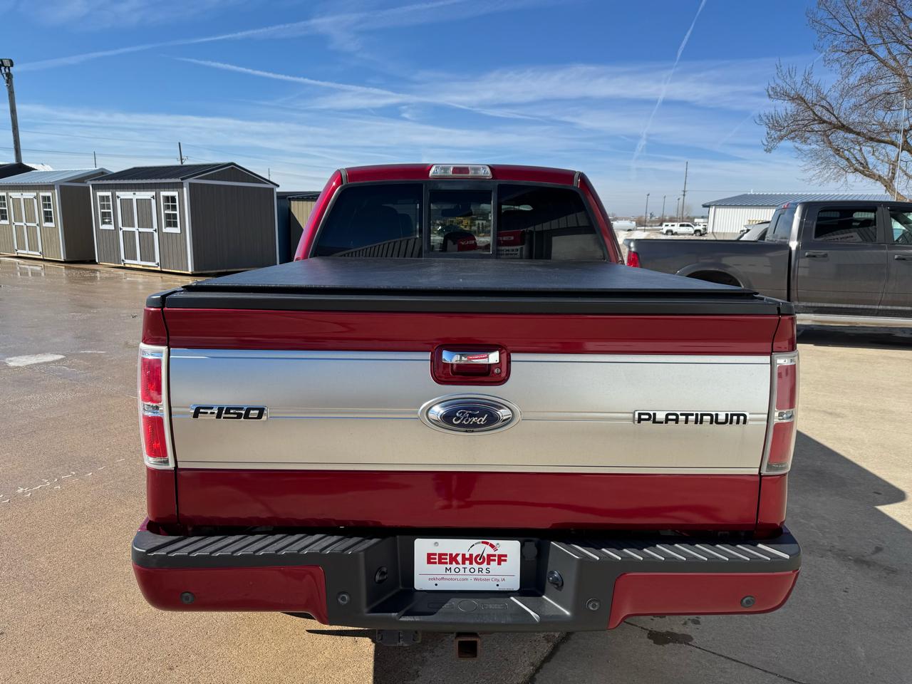 Ford F-150 4WD SuperCrew 145" Platinum 2013