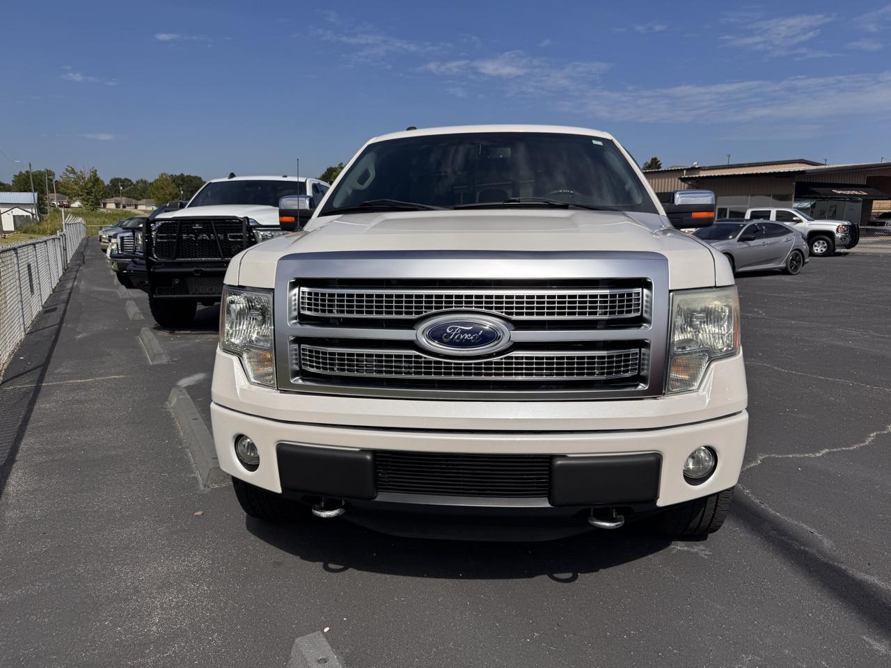 Ford F-150 4WD SuperCrew 145" Platinum 2012