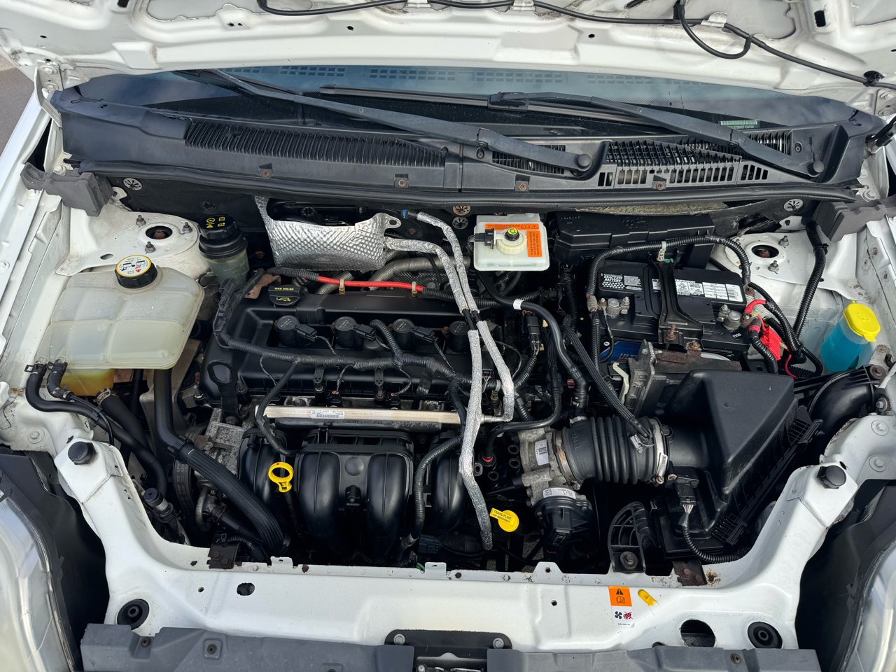 Ford Transit Connect 114.6" XLT w/rear door privacy glass 2013