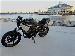 2017 Yamaha FZ1 
