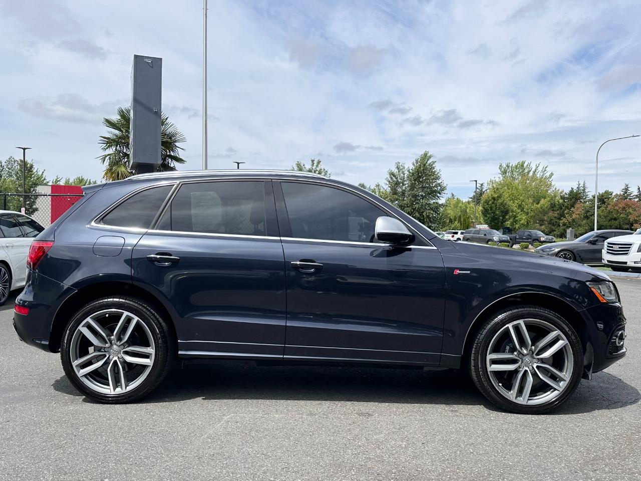Audi SQ5 3.0 TFSI Premium Plus 2017
