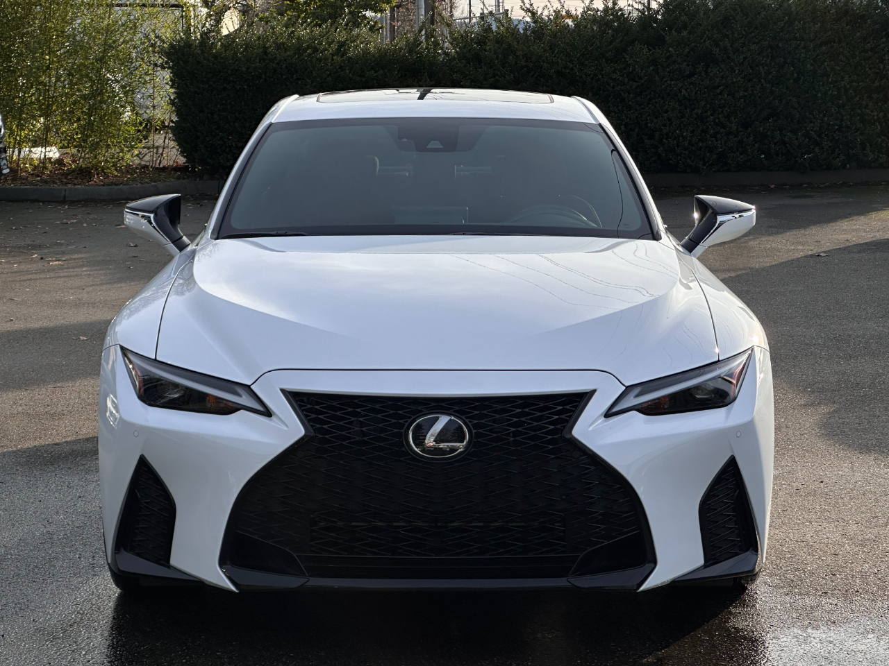 Lexus IS  2023