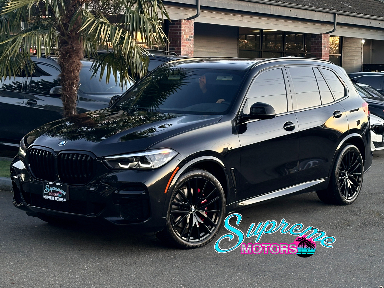 2023 BMW X5 xDrive40i Sports Activity Vehicle