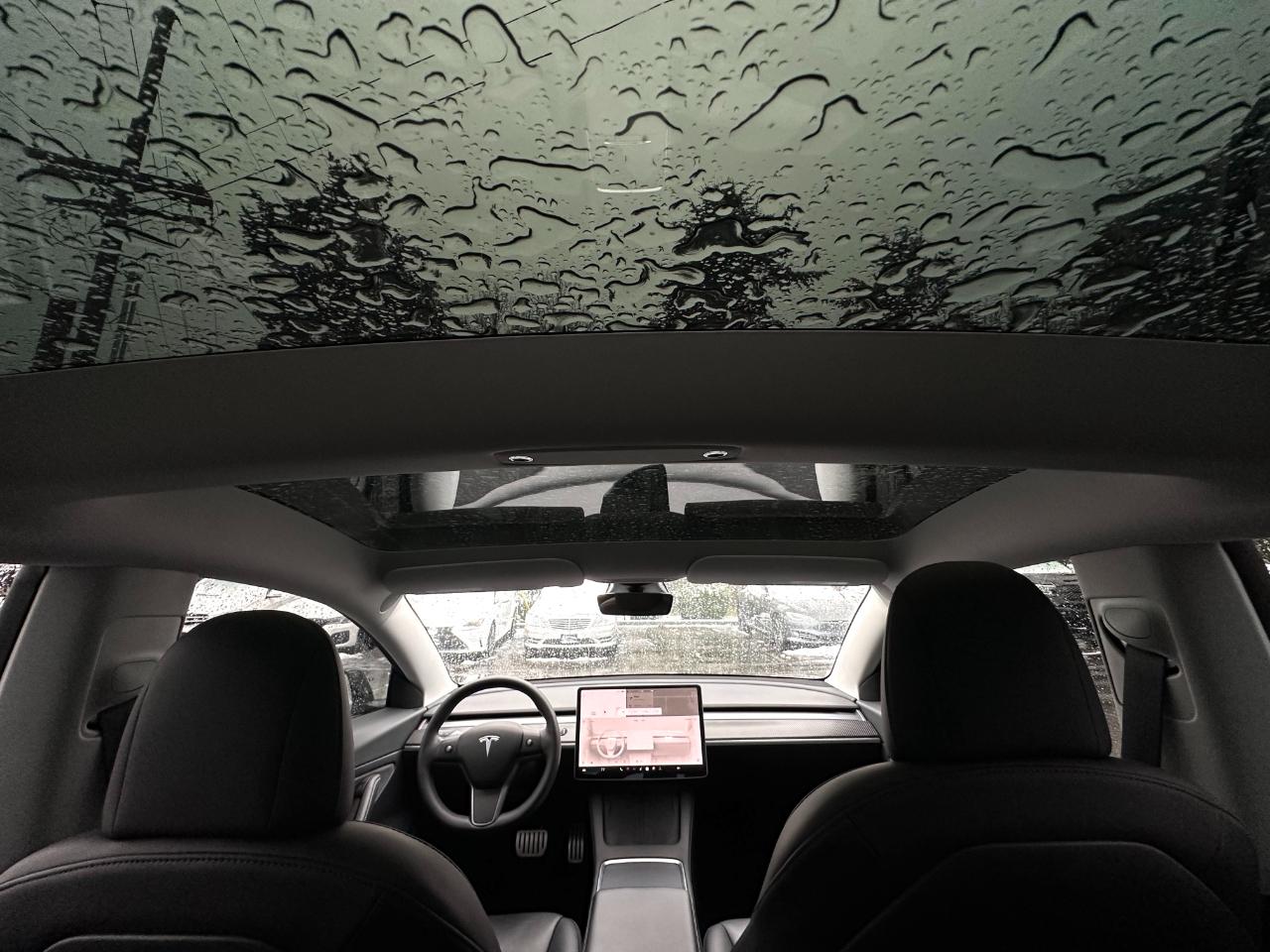 Tesla Model 3 Performance AWD 2021