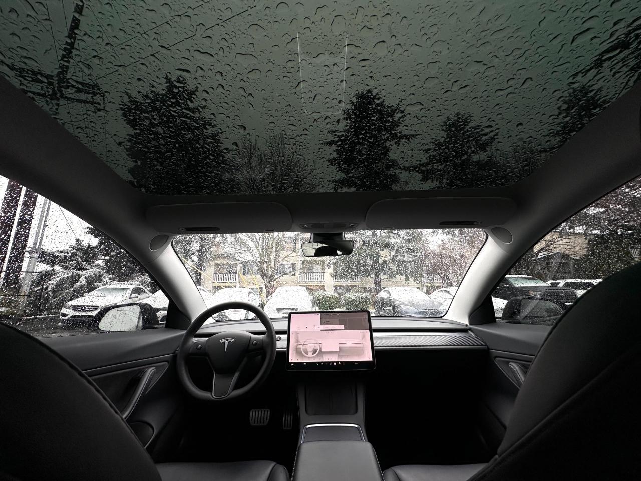 Tesla Model 3 Performance AWD 2021