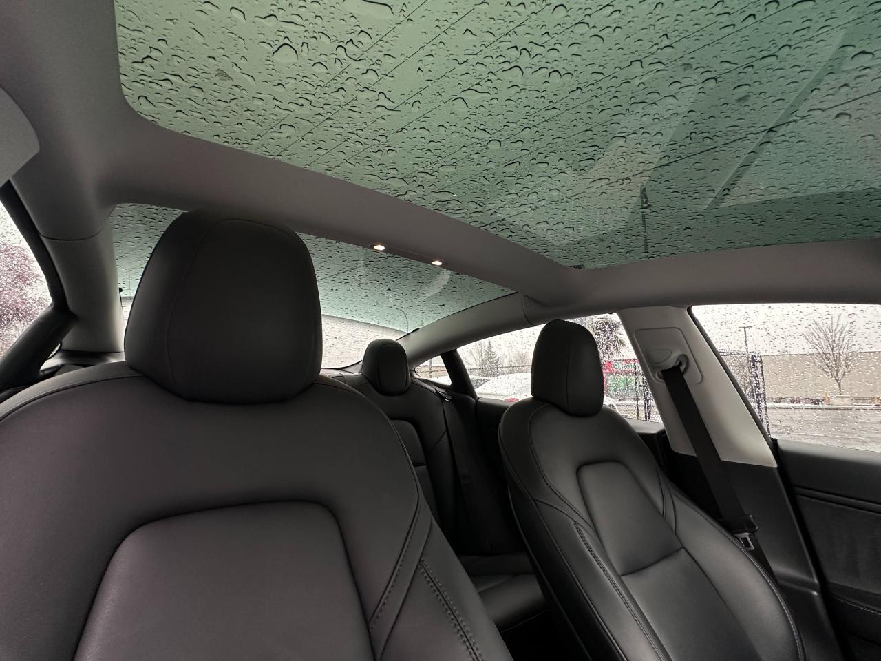 Tesla Model 3 Performance AWD 2021