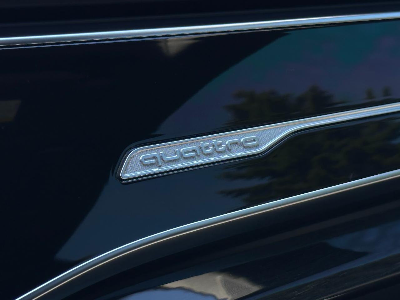 Audi Q8 Premium Plus 55 TFSI quattro 2022