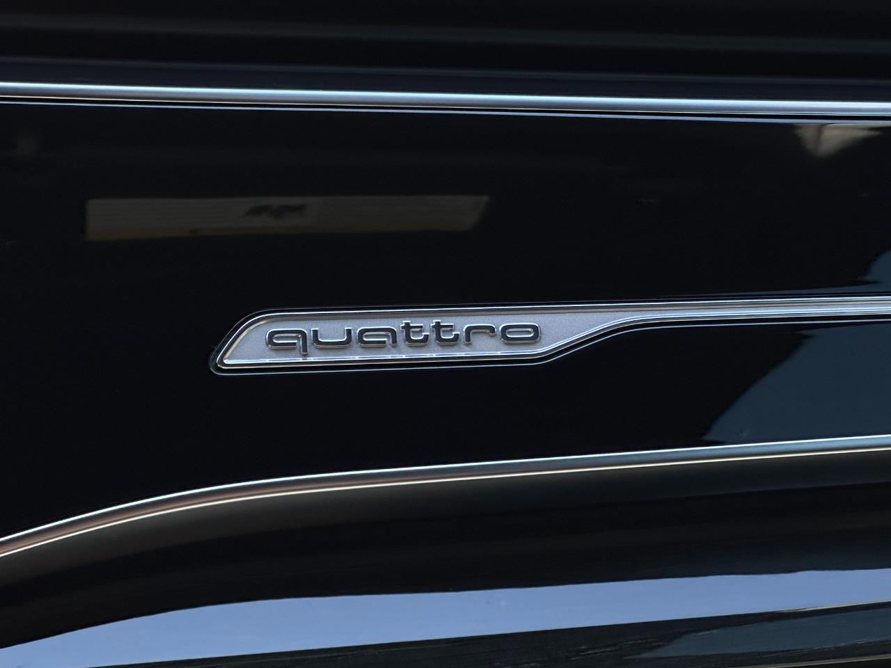 Audi Q8 Premium Plus 55 TFSI quattro 2022