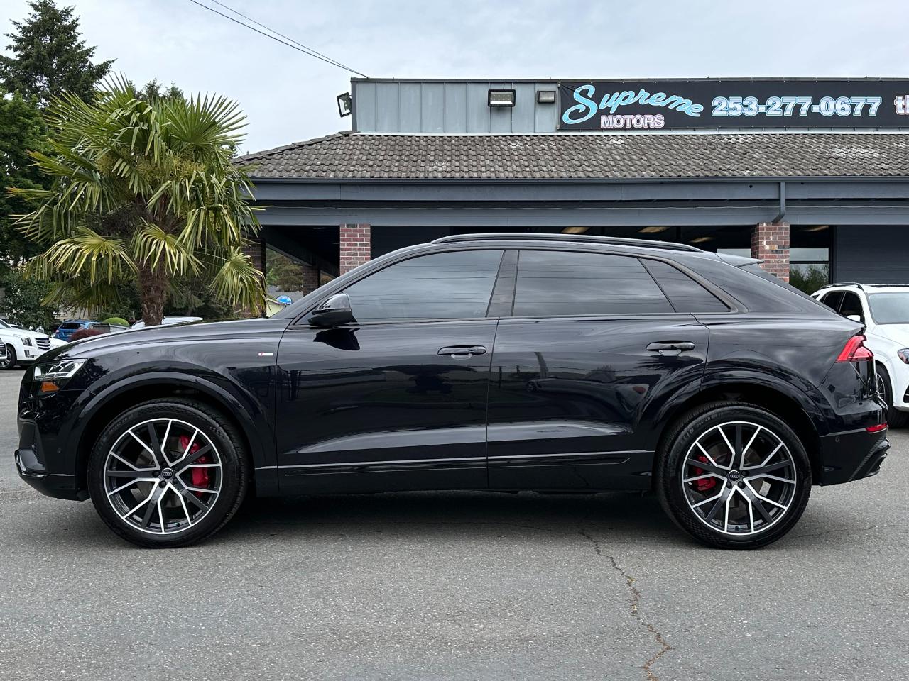Audi Q8 Premium Plus 55 TFSI quattro 2019