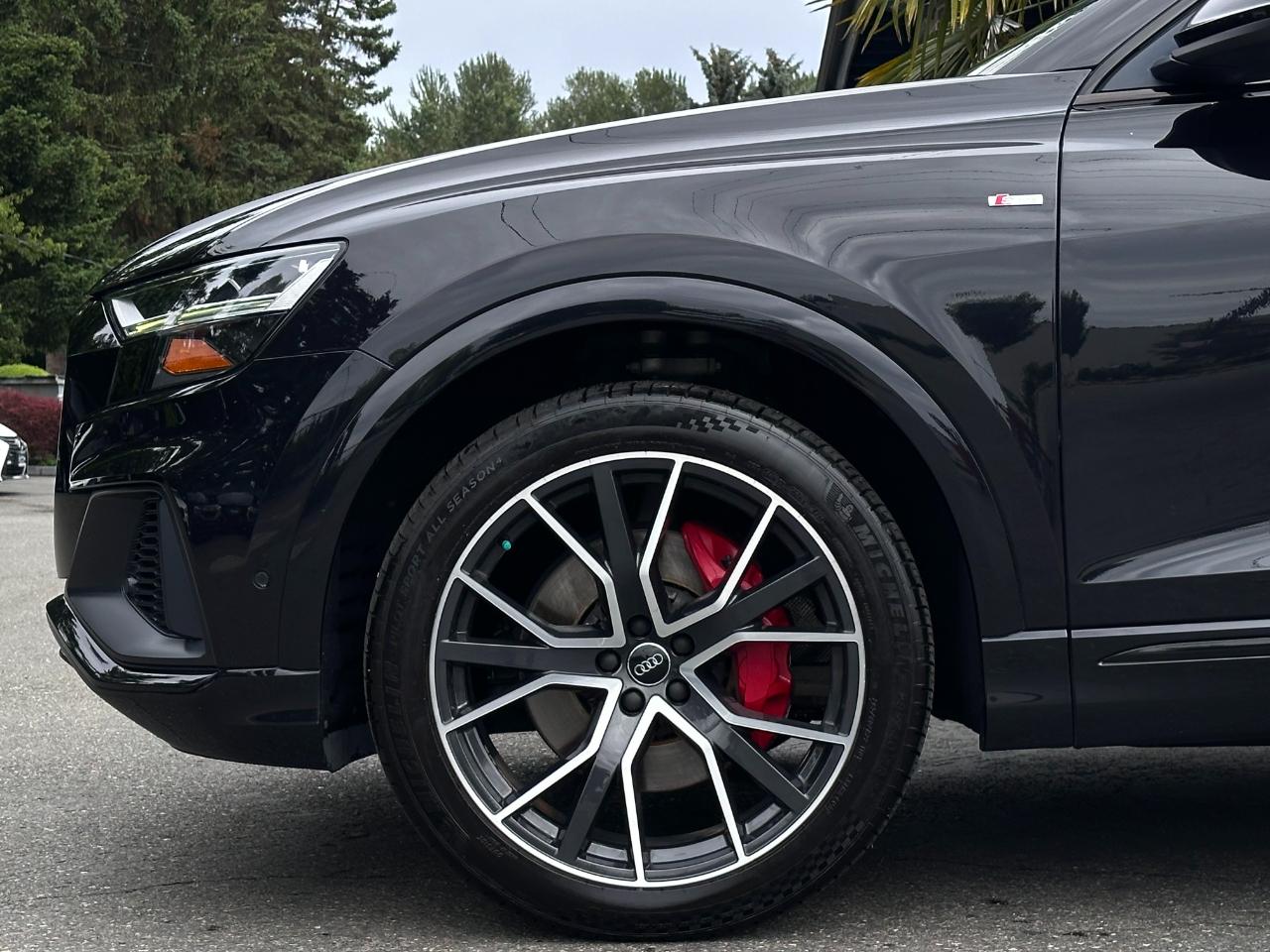 Audi Q8 Premium Plus 55 TFSI quattro 2019