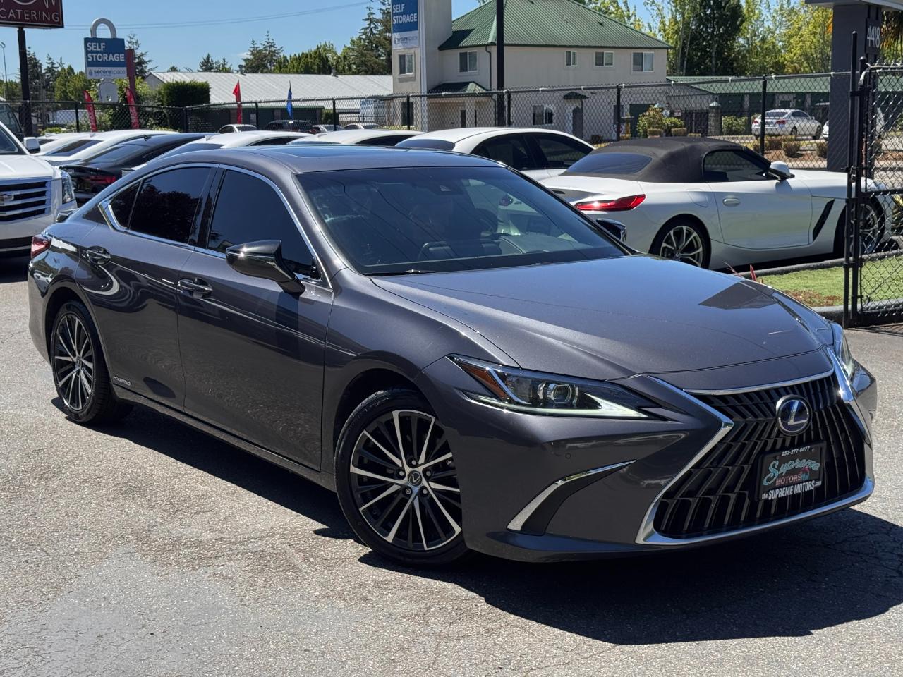 Lexus ES  2022