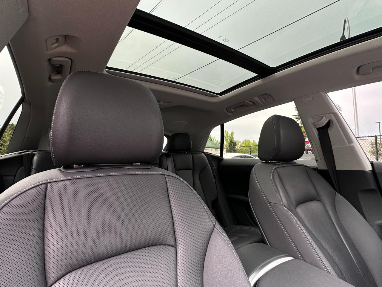 Audi Q8  2019
