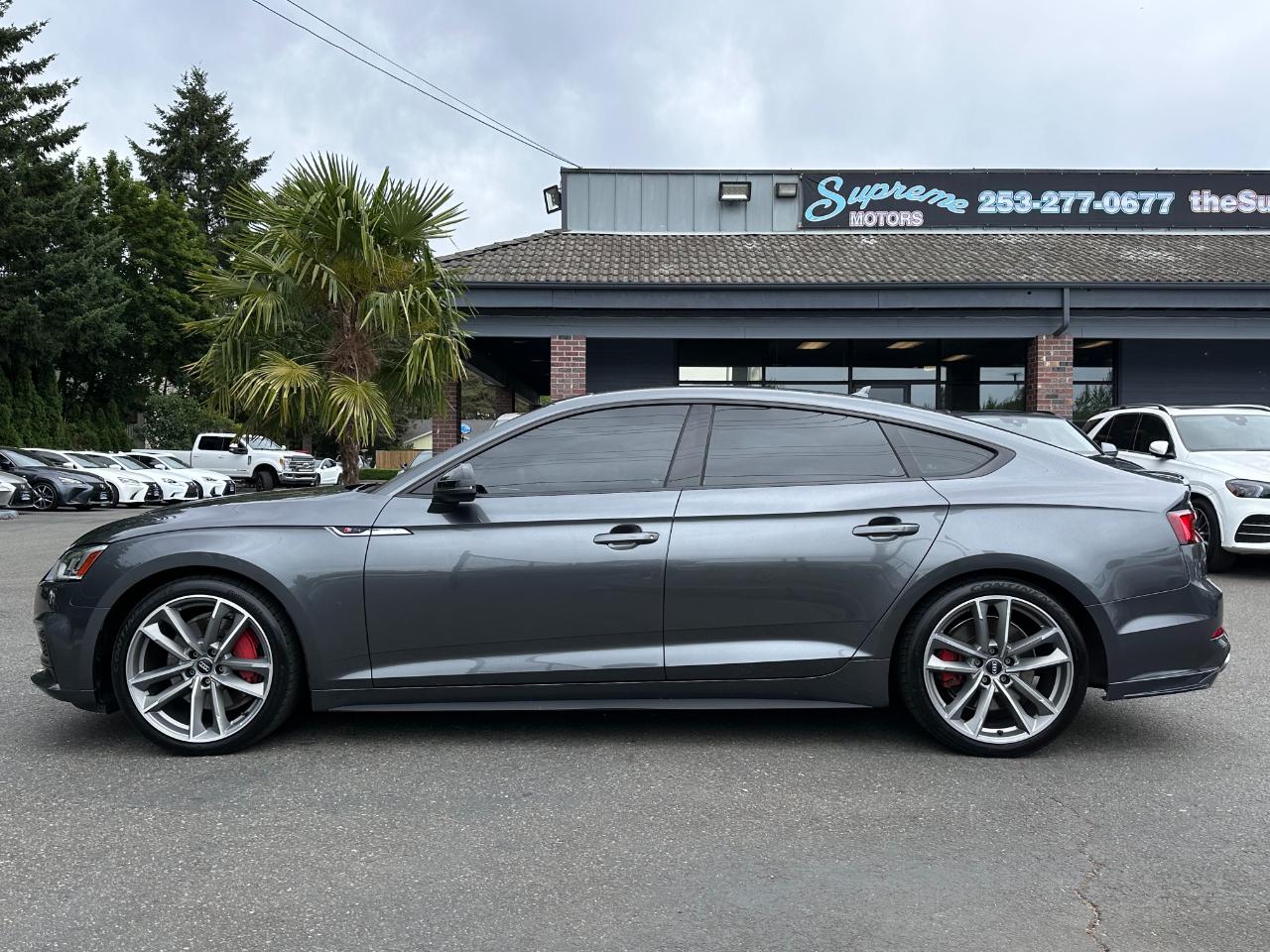 Audi A5 Sportback Premium Plus 45 TFSI quattro 2019