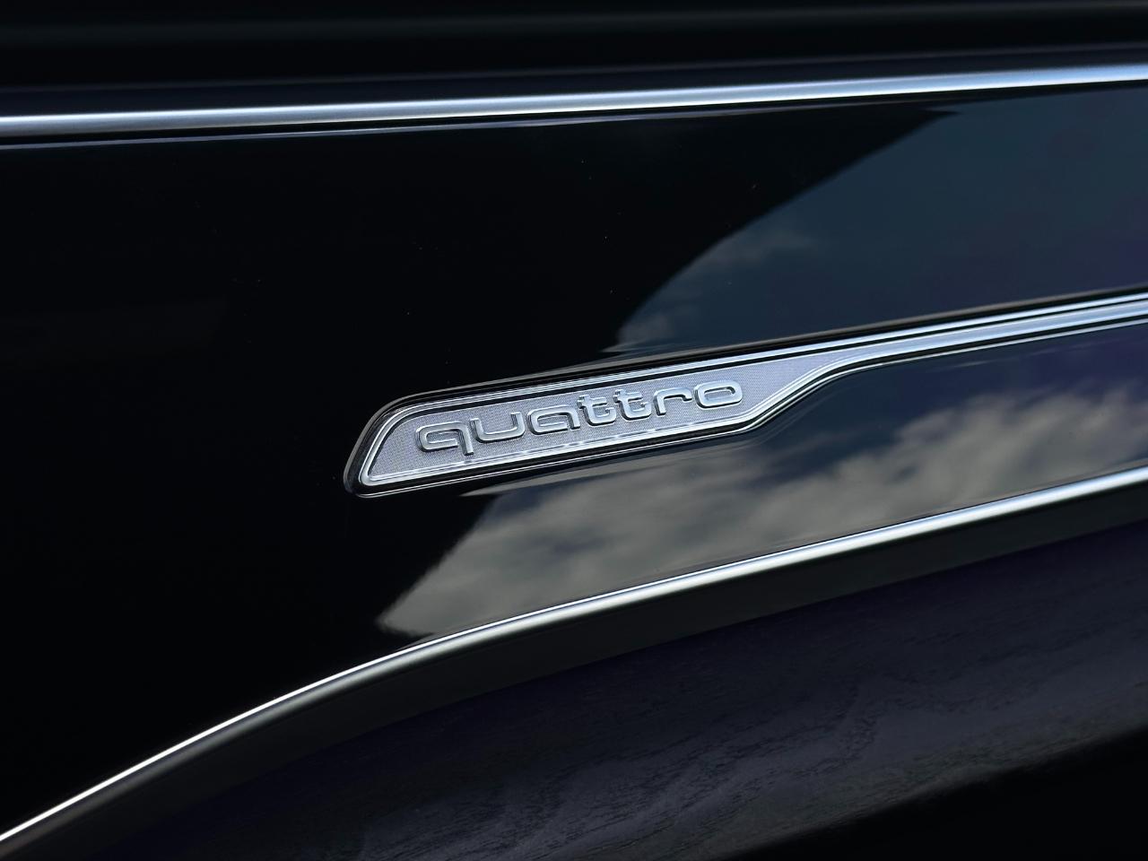 Audi Q8 Premium Plus 55 TFSI quattro 2021
