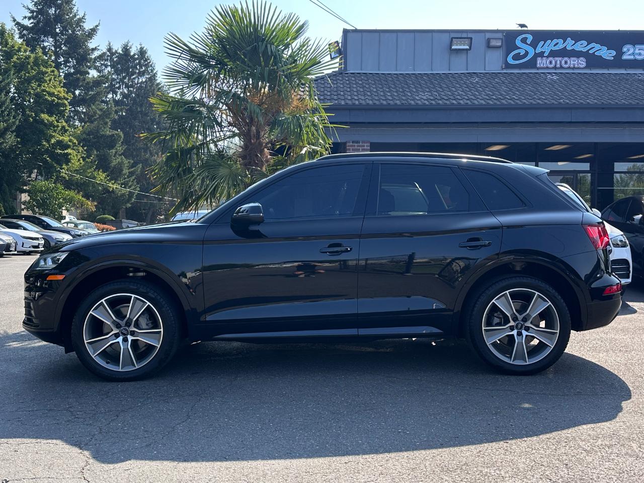 Audi Q5  2019