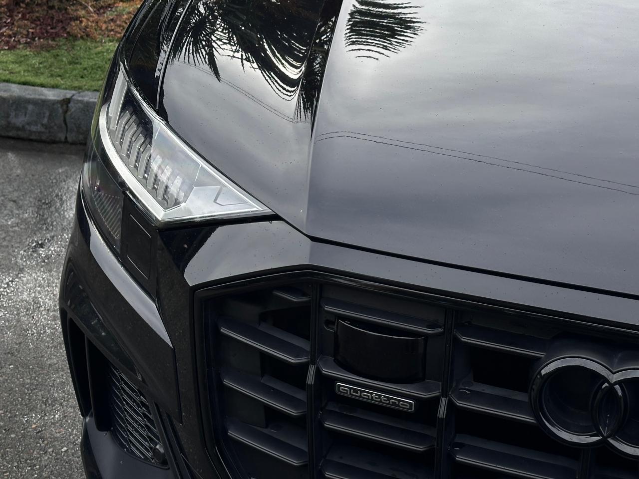 Audi Q8  2019