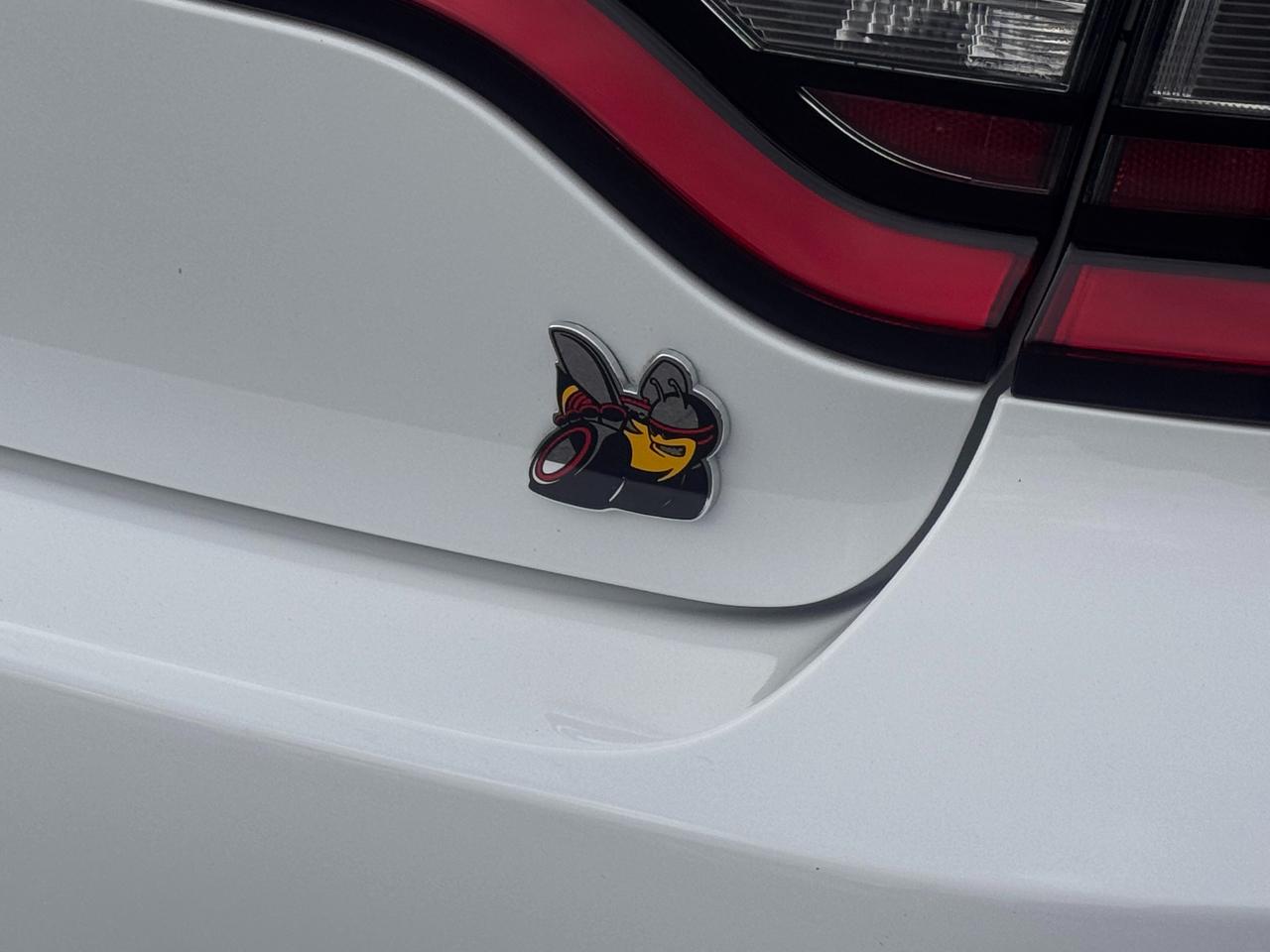 Dodge Charger photo 36