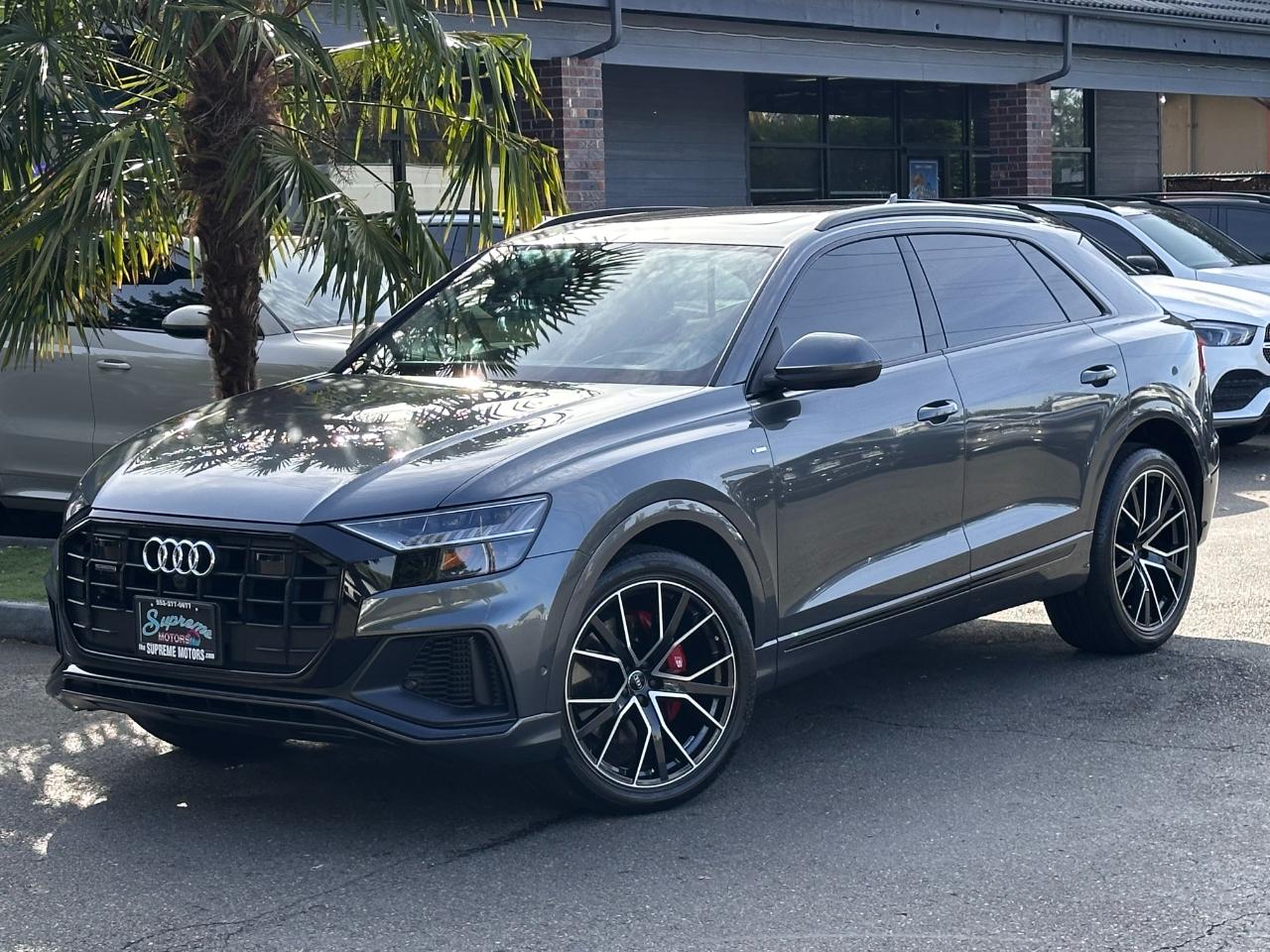 Audi Q8  2019