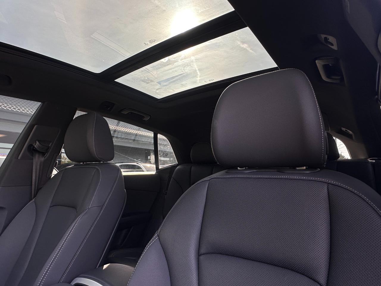 Audi Q8  2019