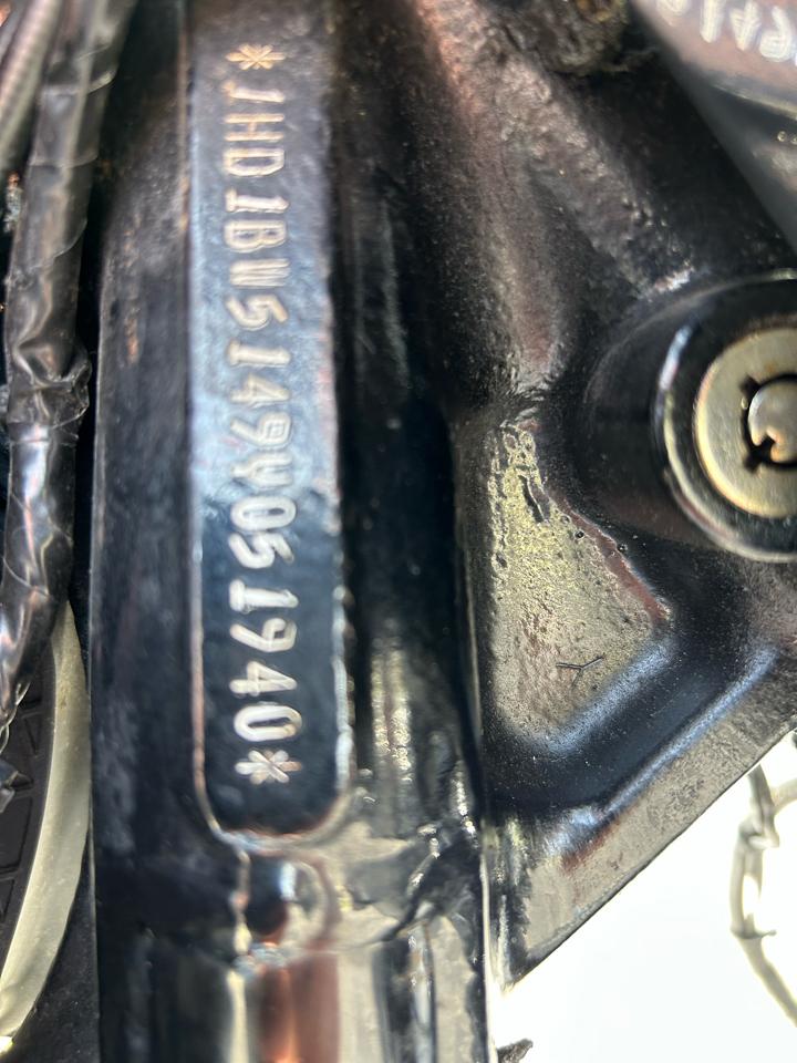 Harley-Davidson Heritage Softail  2009