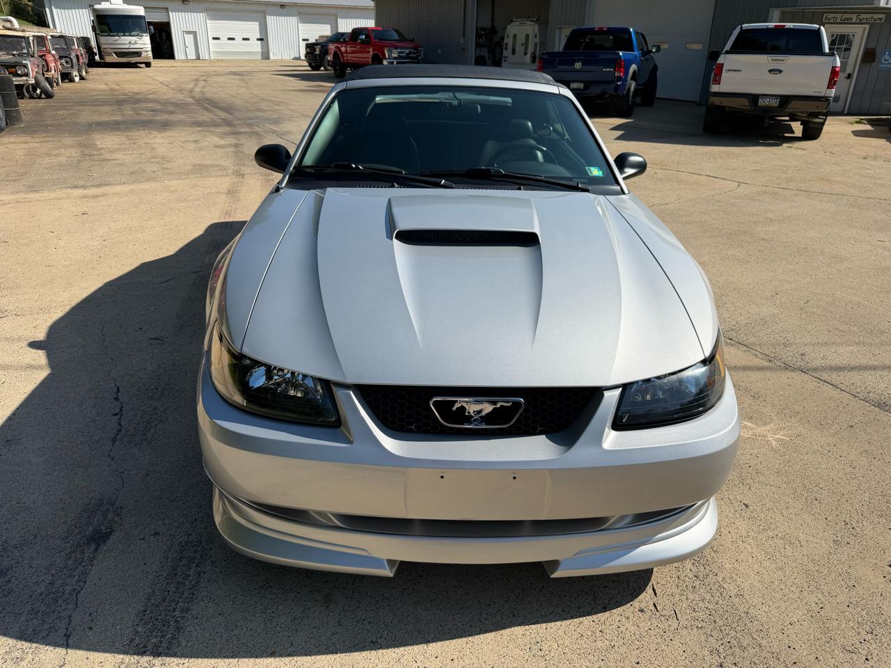 Ford Mustang 2dr Convertible GT 2000