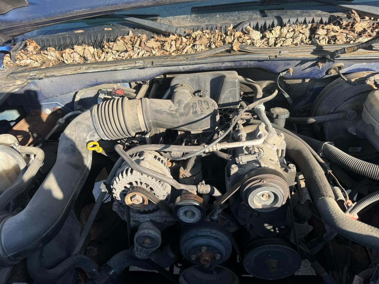 Chevrolet Silverado 1500 Reg Cab 133.0" WB 2WD Work Truck 2006