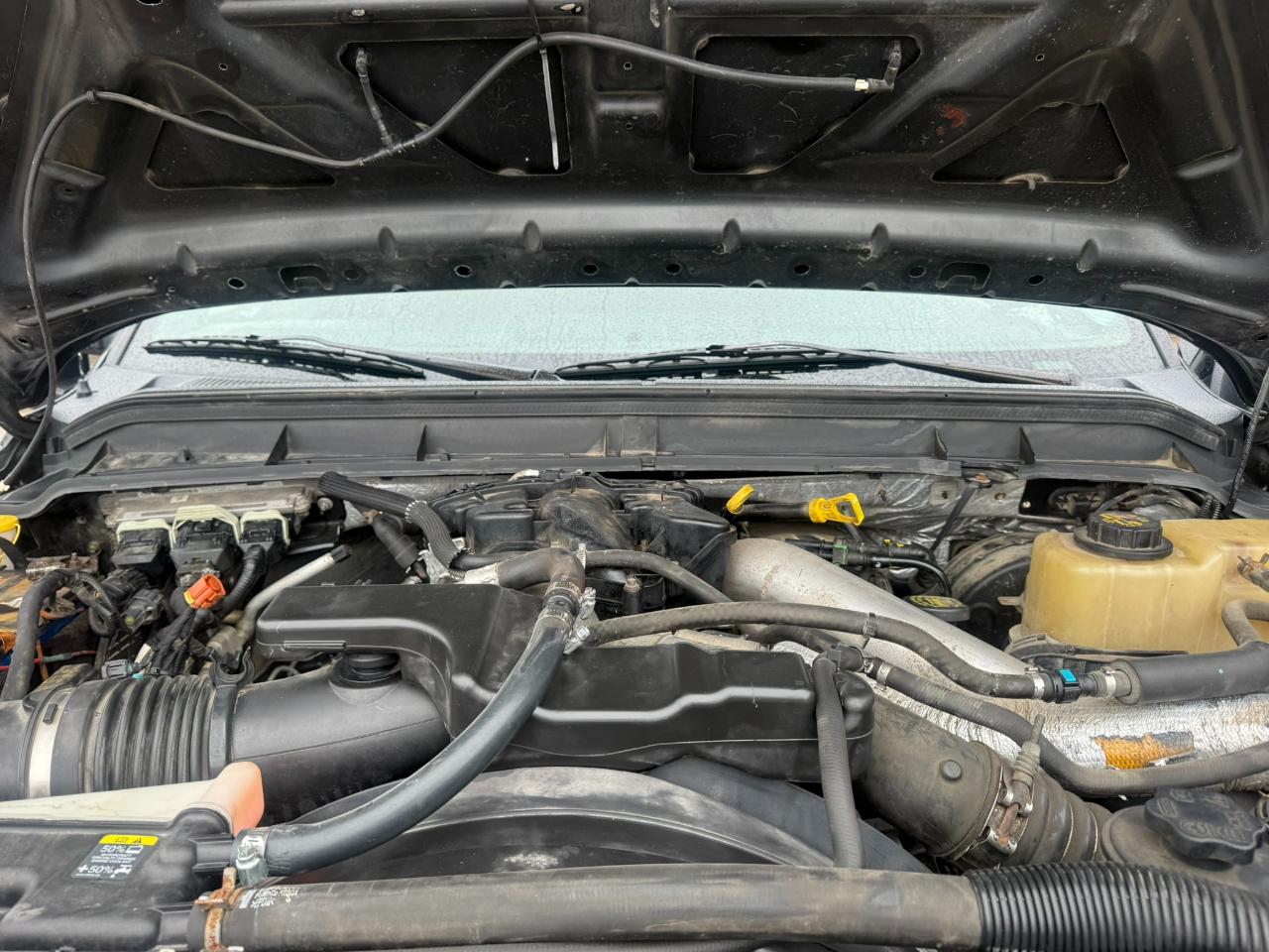 Ford Super Duty F-250 SRW 4WD Crew Cab 156" King Ranch 2011